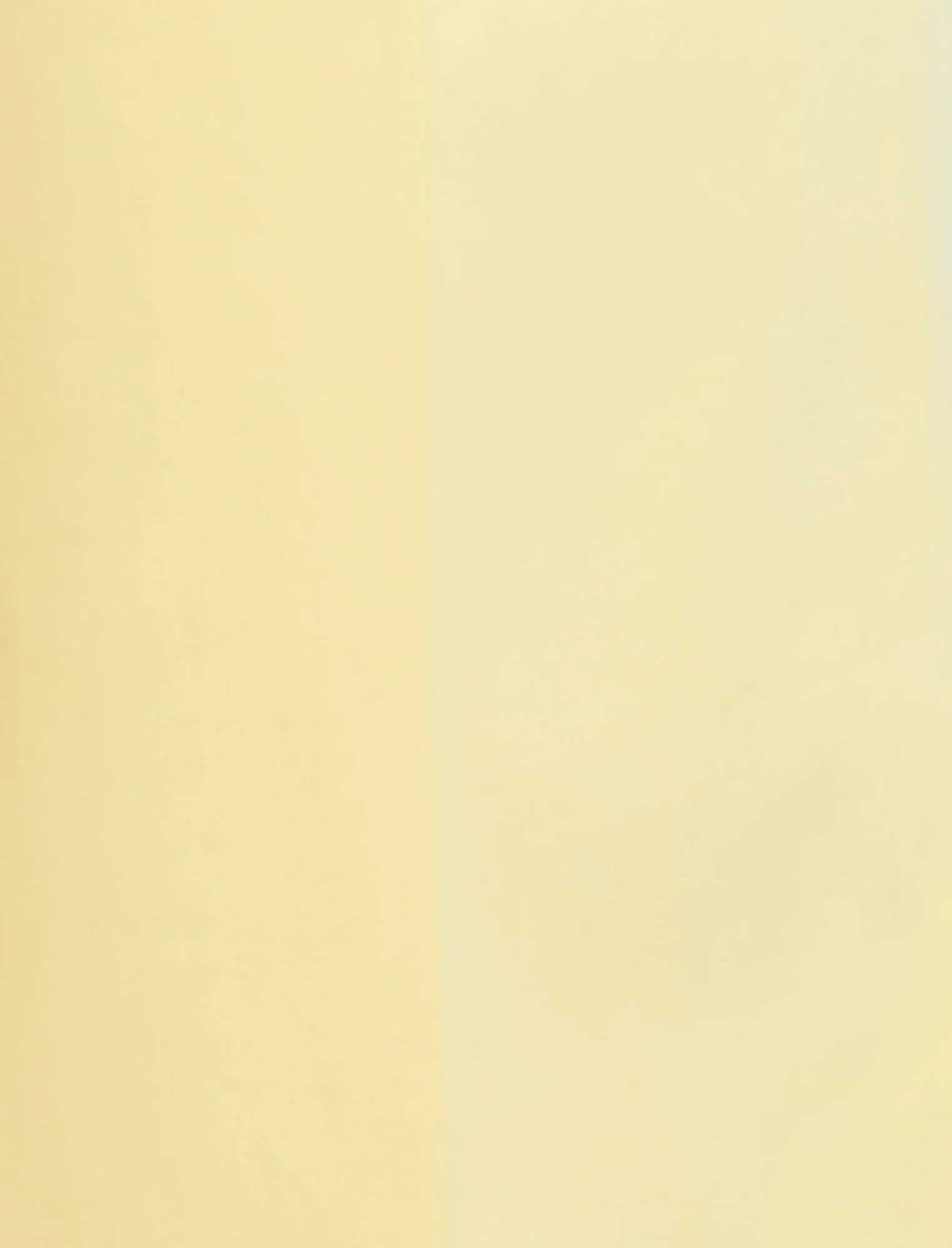 High Waist Cropped Pant - Image 8