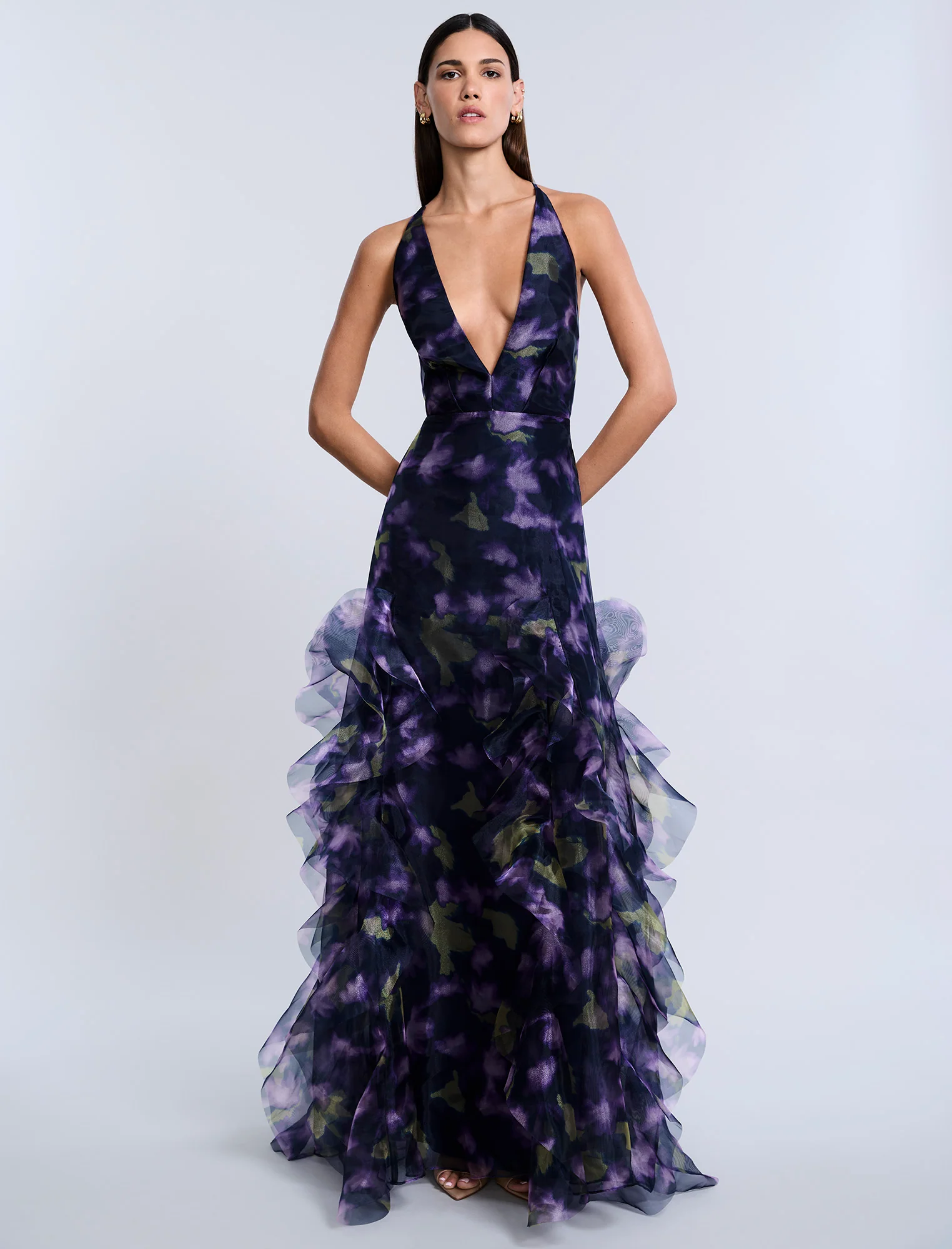 Printed Organza Gown - Image 7