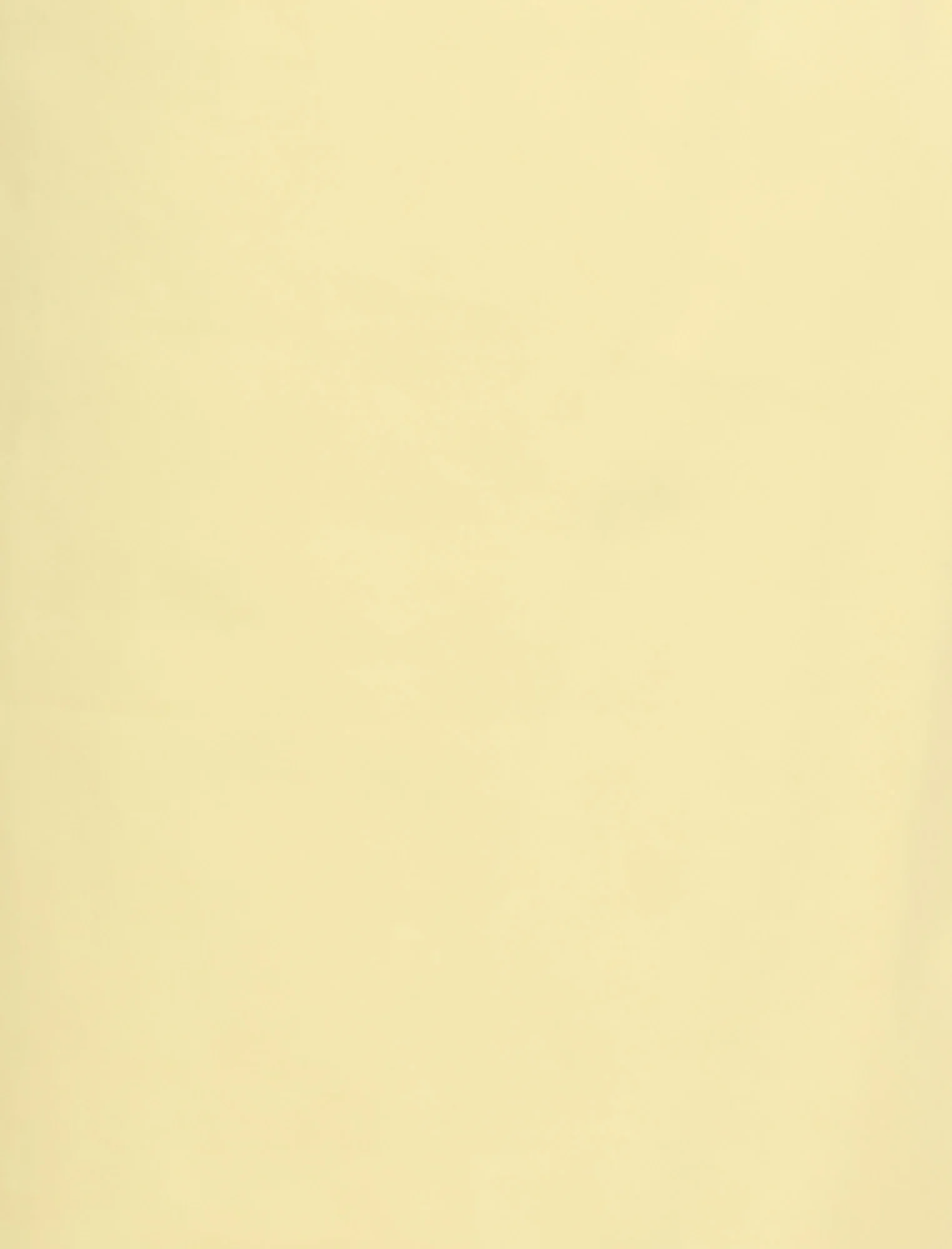 Twill Vest - Image 7