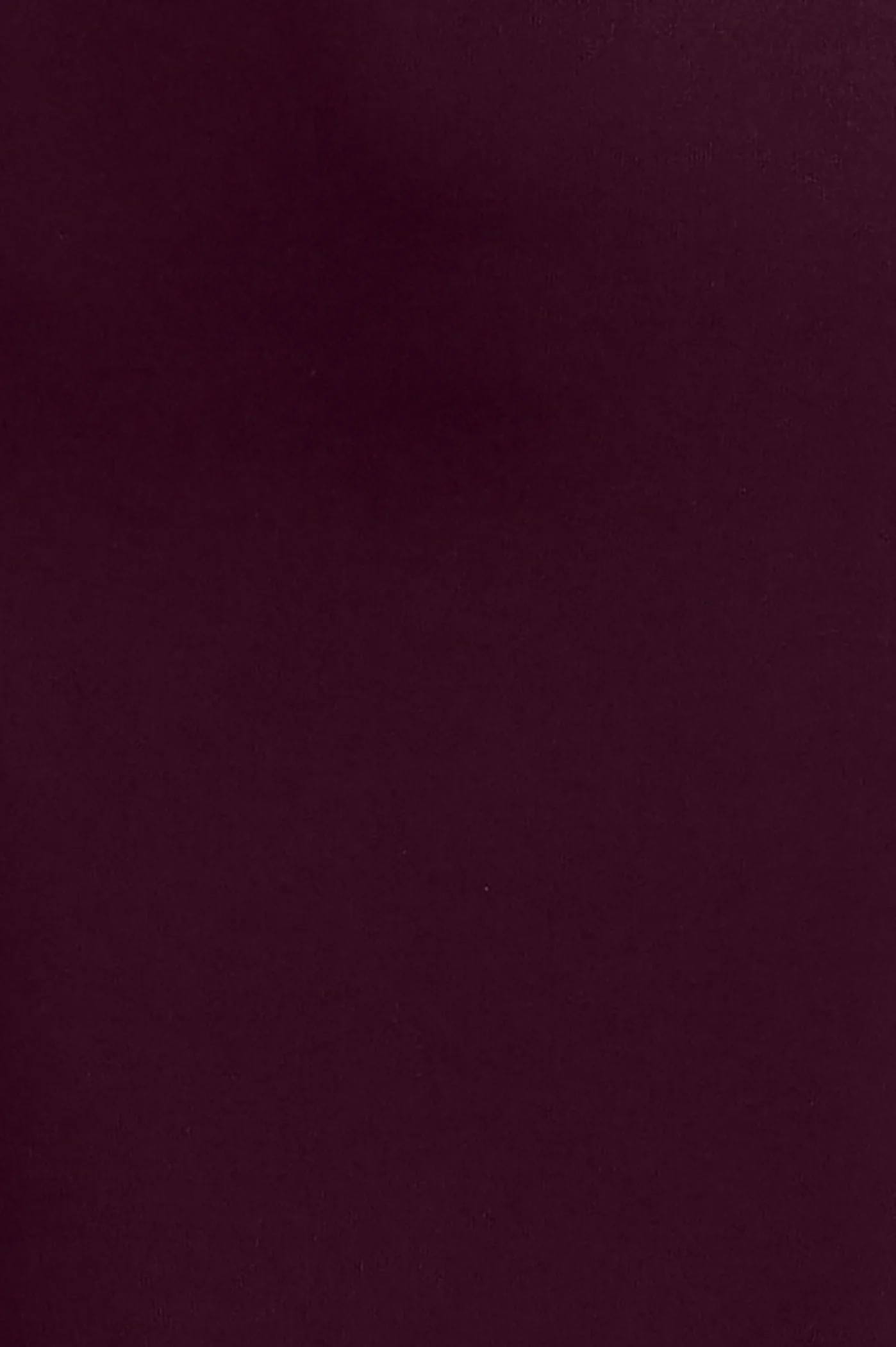 Vera Top - Image 7